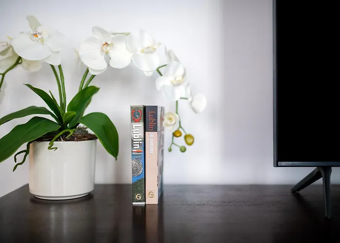 Apartment Easy Rent - Niecala 16 Plac Litewski *